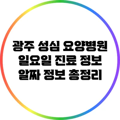 광주 성심 요양병원 일요일 진료 정보: 알짜 정보 총정리