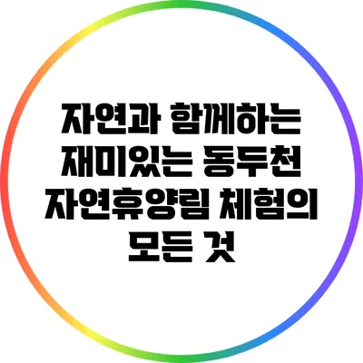 자연과 함께하는 재미있는 동두천 자연휴양림 체험의 모든 것