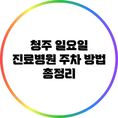 청주 일요일 진료병원 주차 방법 총정리
