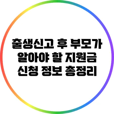 출생신고 후 부모가 알아야 할 지원금 신청 정보 총정리