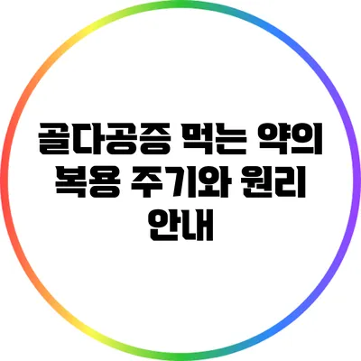 골다공증 먹는 약의 복용 주기와 원리 안내