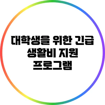 대학생을 위한 긴급 생활비 지원 프로그램