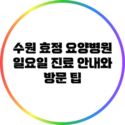 수원 효정 요양병원 일요일 진료 안내와 방문 팁