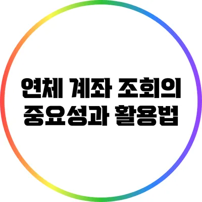 연체 계좌 조회의 중요성과 활용법