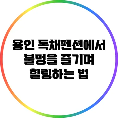 용인 독채펜션에서 불멍을 즐기며 힐링하는 법