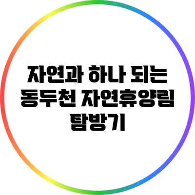자연과 하나 되는 동두천 자연휴양림 탐방기