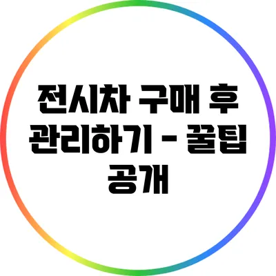 전시차 구매 후 관리하기 - 꿀팁 공개