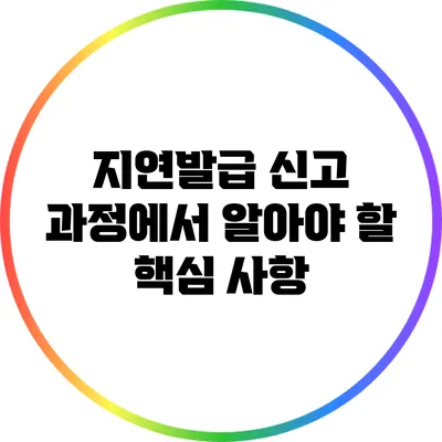 지연발급 신고 과정에서 알아야 할 핵심 사항