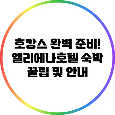 호캉스 완벽 준비! 엘리에나호텔 숙박 꿀팁 및 안내