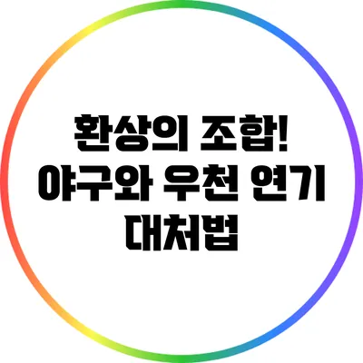 환상의 조합! 야구와 우천 연기 대처법
