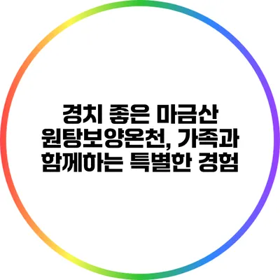 경치 좋은 마금산 원탕보양온천, 가족과 함께하는 특별한 경험