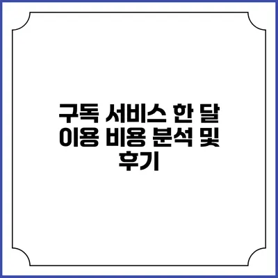 구독 서비스 한 달 이용 비용 분석 및 후기