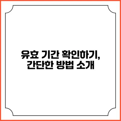 유효 기간 확인하기, 간단한 방법 소개