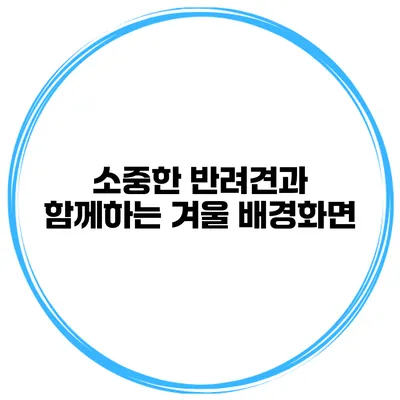 소중한 반려견과 함께하는 겨울 배경화면