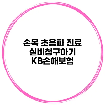 손목 초음파 진료 실비청구하기 KB손해보험