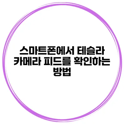 스마트폰에서 테슬라 카메라 피드를 확인하는 방법