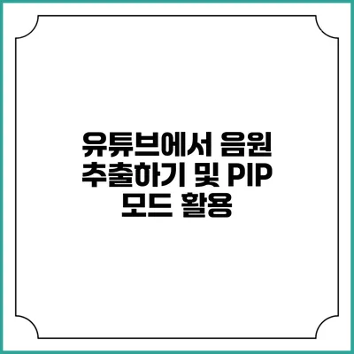 유튜브에서 음원 추출하기 및 PIP 모드 활용