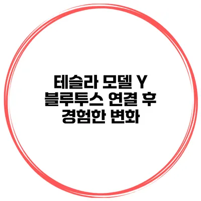 테슬라 모델 Y 블루투스 연결 후 경험한 변화