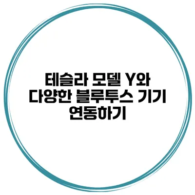 테슬라 모델 Y와 다양한 블루투스 기기 연동하기